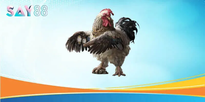 Hình ảnh trận đấu đá gà Say88 chân thực với góc quay rõ nét